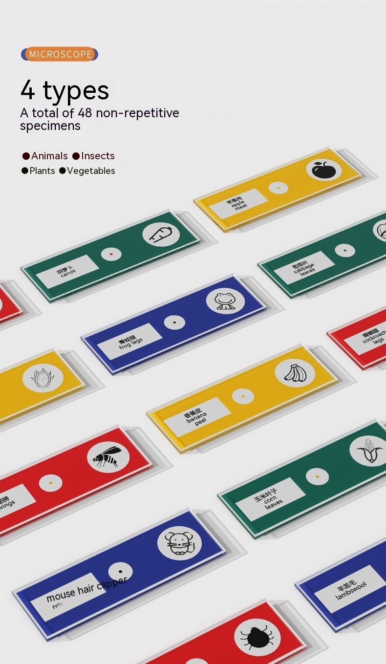 Portable Toy Microscope that works perfectly - Image 6